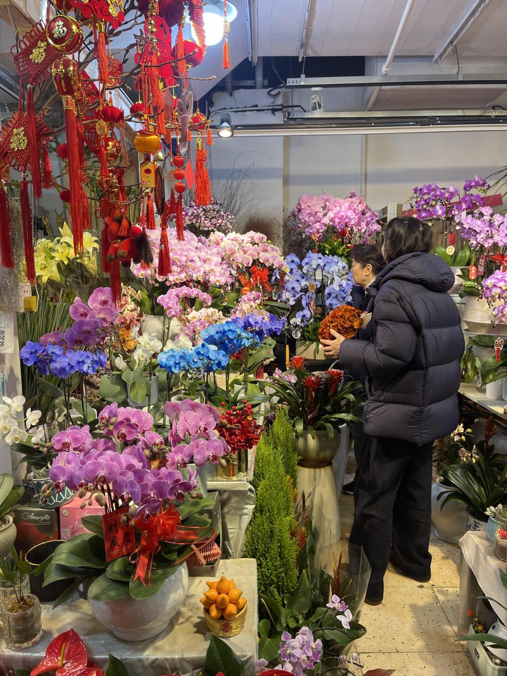 财经聚焦｜年宵花热销，鲜花消费何以“一路芬芳”