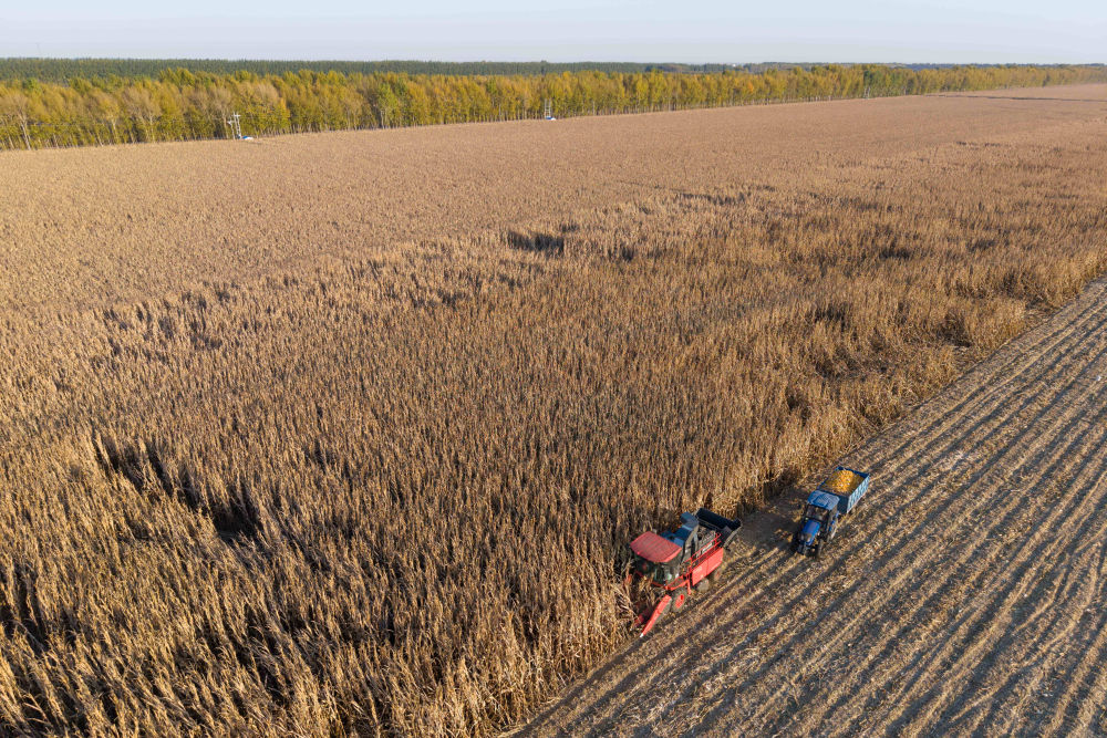 影像回眸“十四五”——全面深化改革 扩大高水平开放 影像回眸“十四五”——全面深化改革 扩大高水平开放