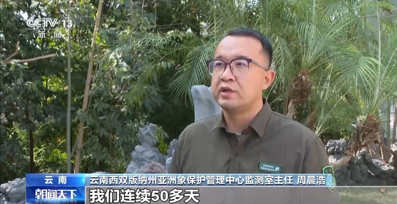 特别“家庭旅行团”亮相?我国野生动植物保护交出亮眼答卷