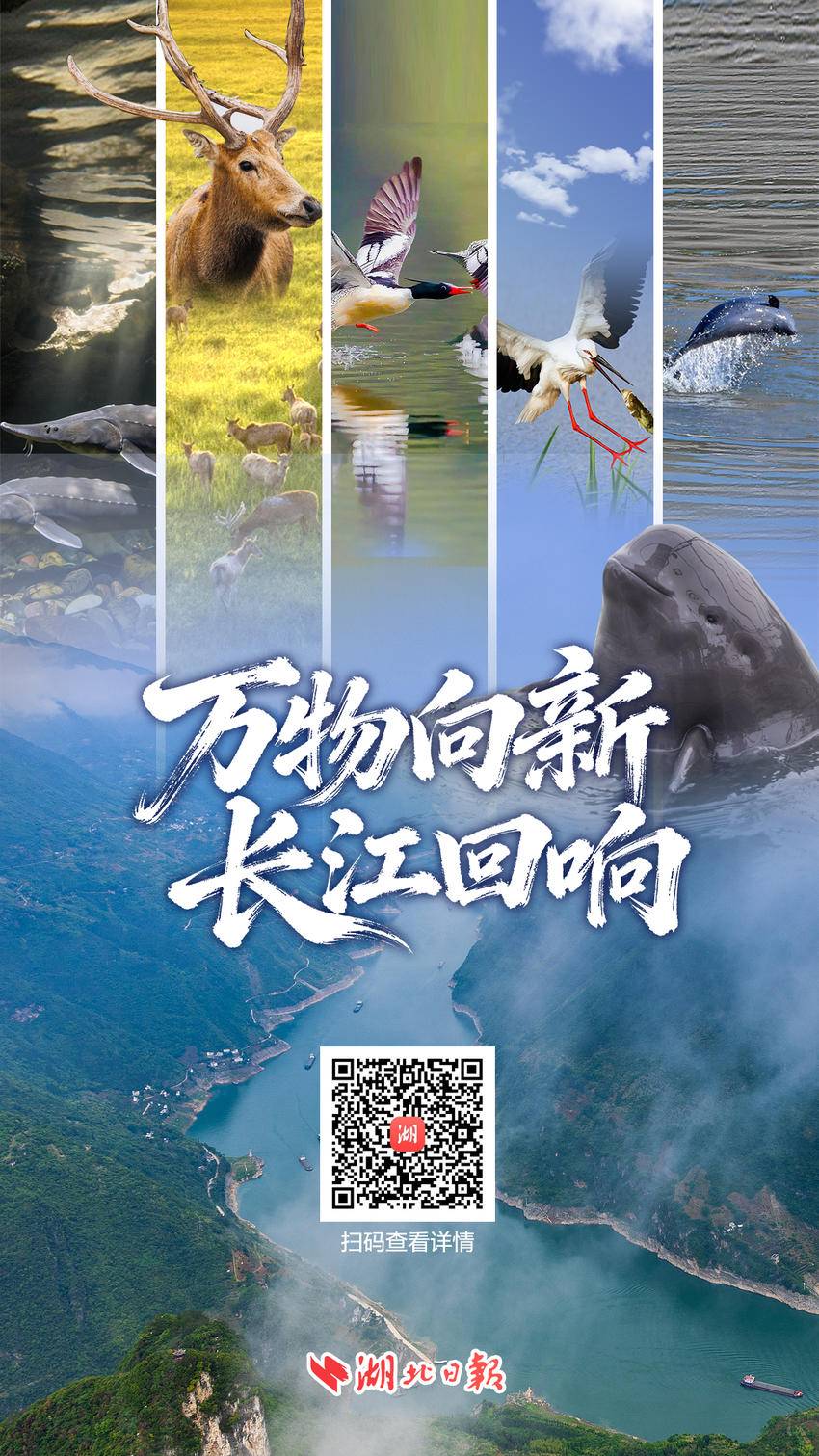 万物向新,长江回响