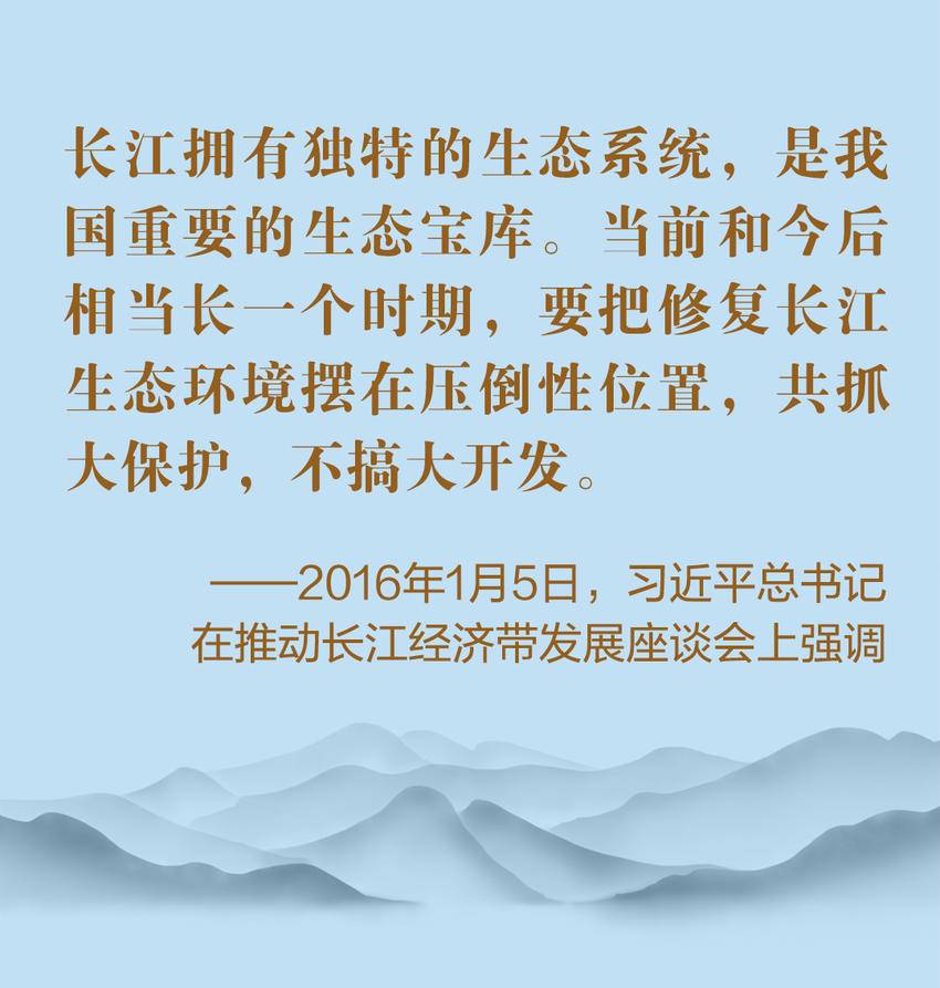 万物向新,长江回响