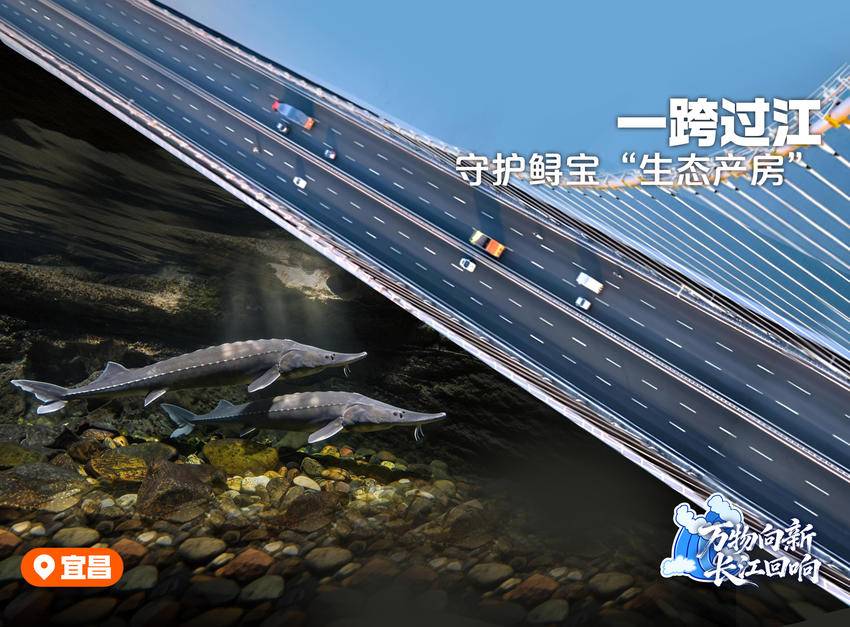 万物向新,长江回响