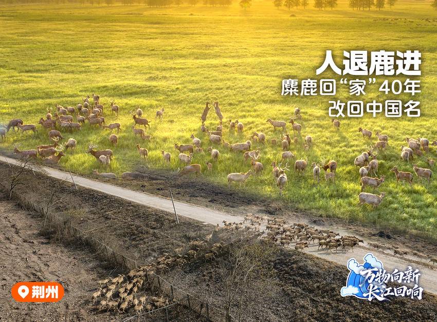 万物向新,长江回响