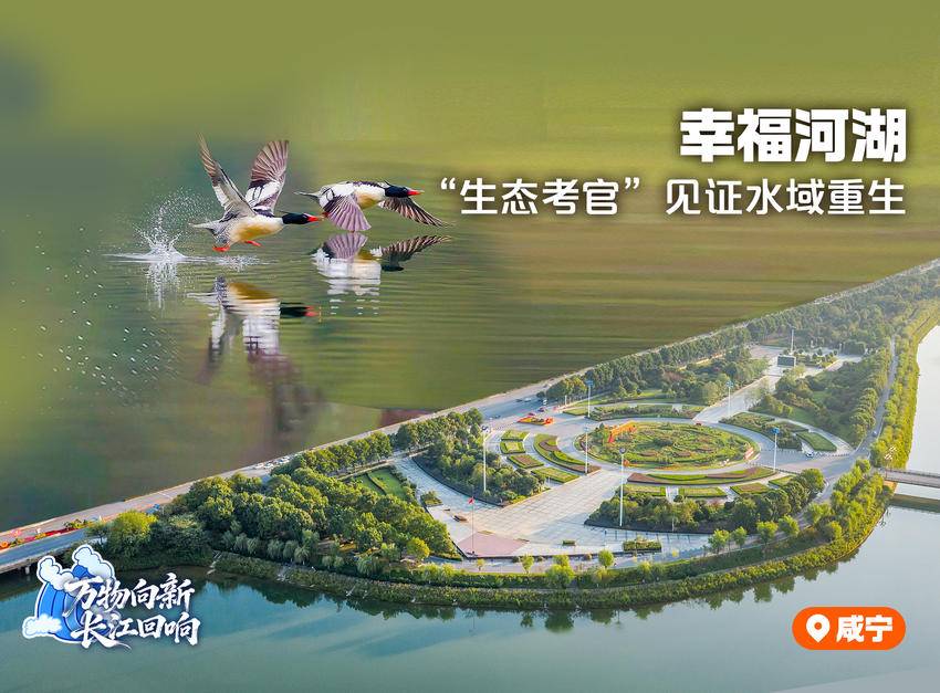 万物向新,长江回响