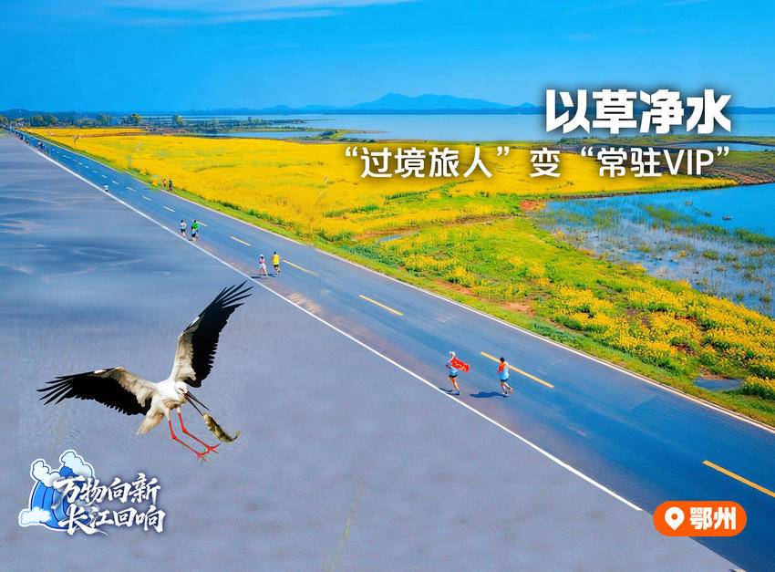 万物向新,长江回响