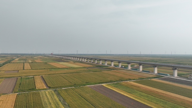 热潮涌动吹响实干“冲锋号” “马”力全开奋战新春“开门红”