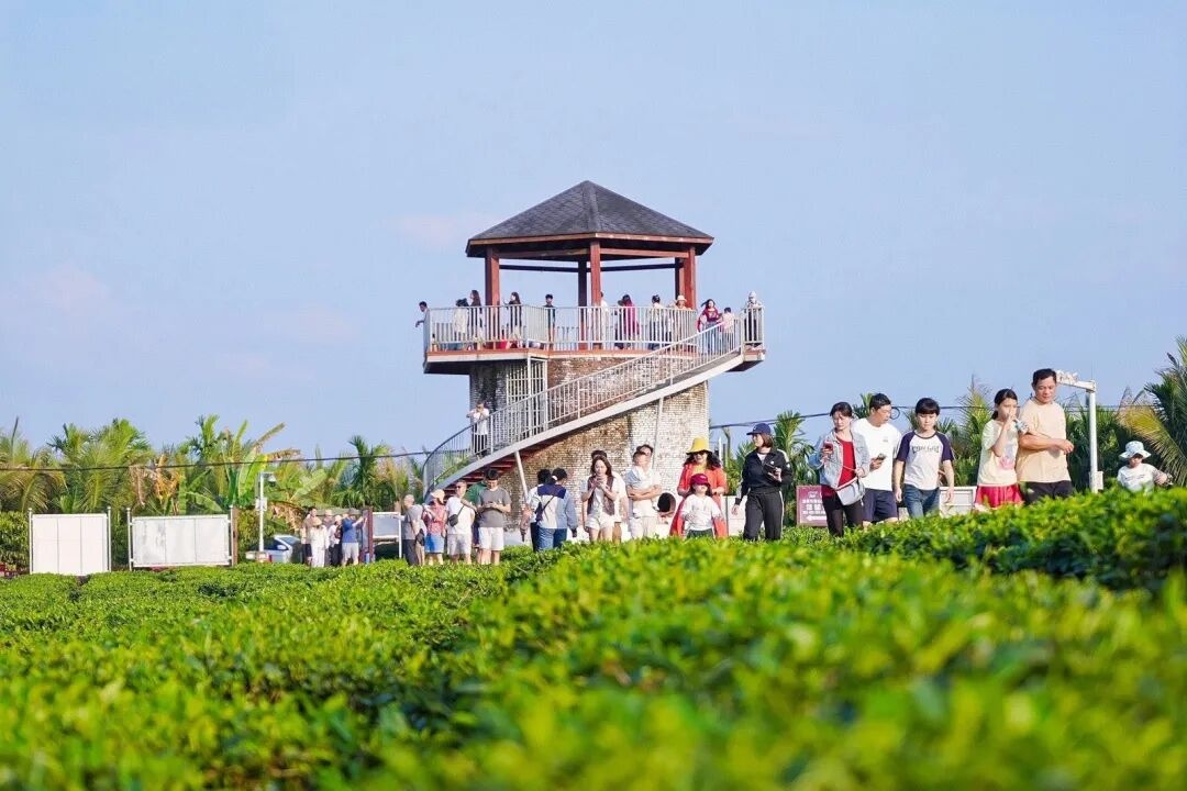 行稳致远开新局丨自贸港扬帆风正劲 琼州潮涌如何启新篇?