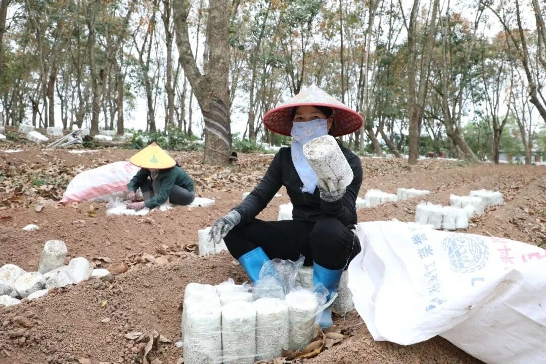 行稳致远开新局丨自贸港扬帆风正劲 琼州潮涌如何启新篇?