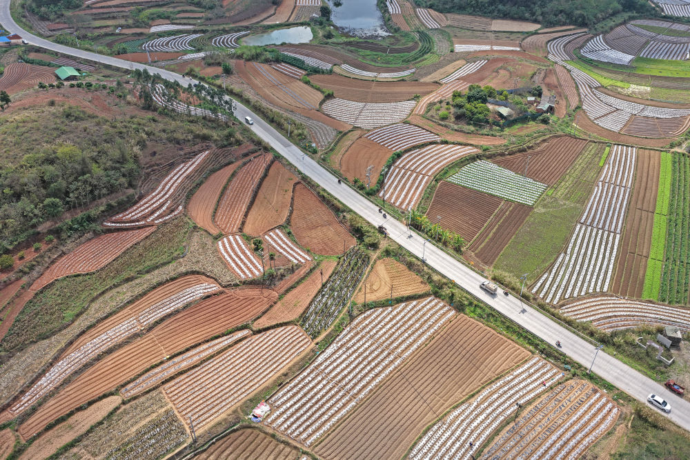 两会新华鲜报｜大地惊蛰！奏响春天的奋进序曲