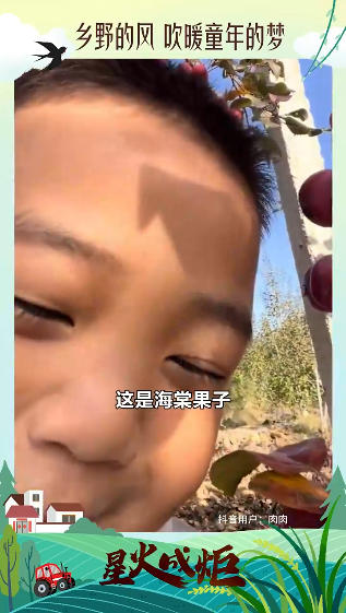 星火成炬 沃野新篇｜乡野的风 吹暖童年的梦