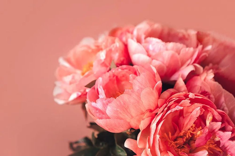 今天，送上一份最美的祝福！