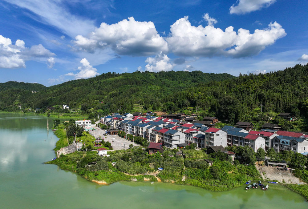 两会新华鲜报|钉钉子!农村“关键小事”分量不小 两会新华鲜报|钉钉子!农村“关键小事”分量不小