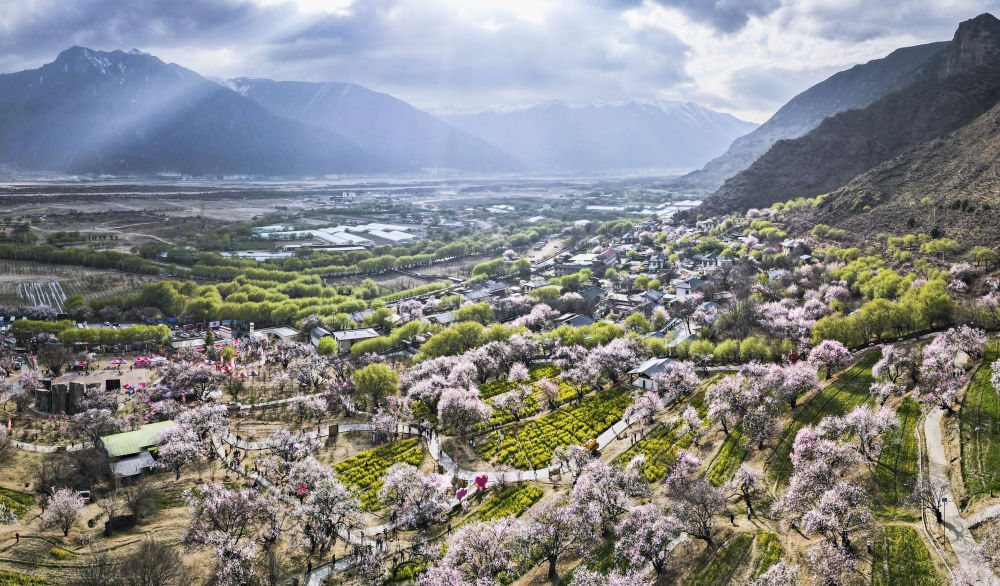 习近平总书记引领推进中华民族共同体建设