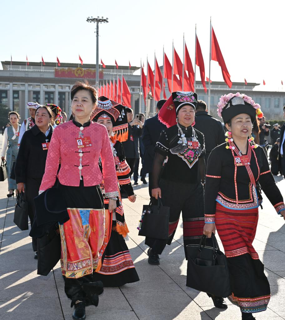 十四届全国人大四次会议举行第二次全体会议