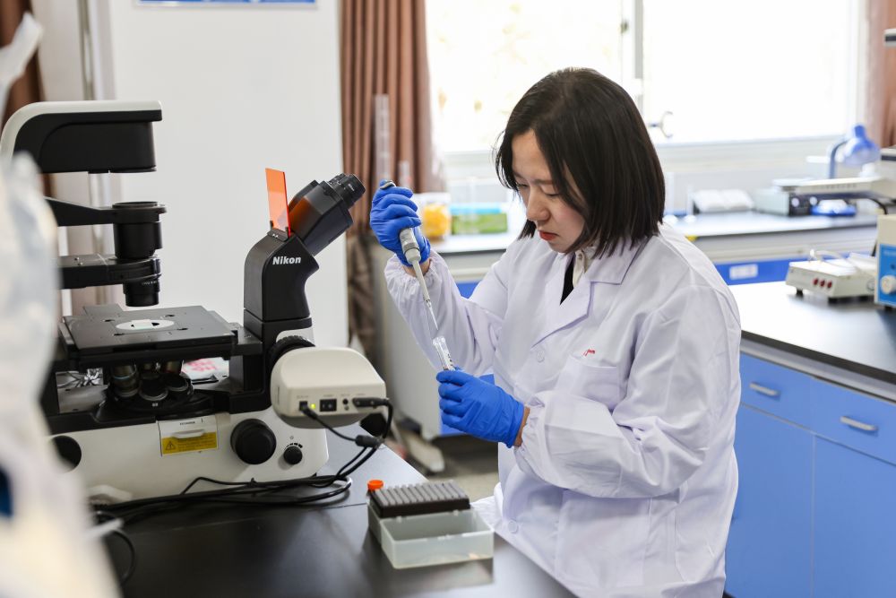 两会·影像链接｜展望“十五五”：汇聚青春力量