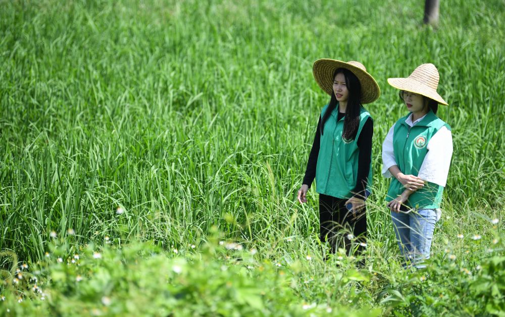 两会·影像链接｜展望“十五五”：汇聚青春力量