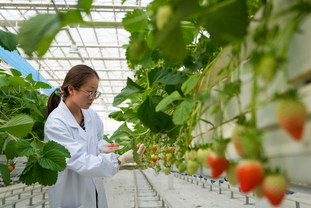 两会·影像链接｜展望“十五五”：汇聚青春力量