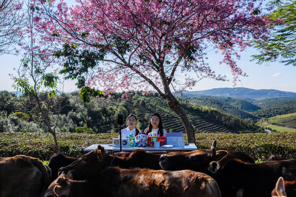 两会·影像链接｜展望“十五五”：汇聚青春力量