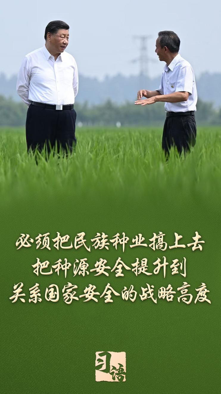 习语丨一粒小小的种子,何以让总书记如此牵挂?