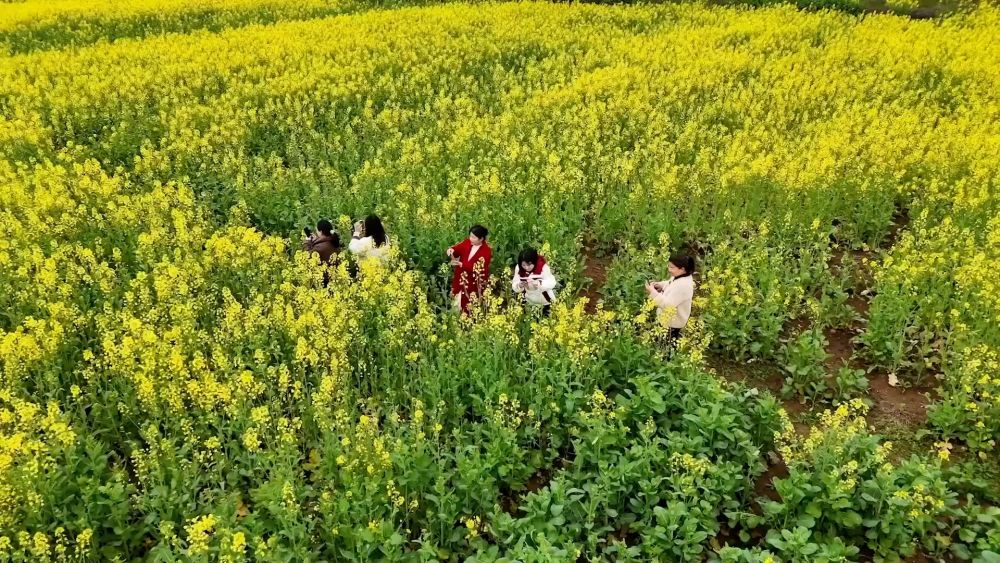 春日奋进正当时 多领域发力共促高质量发展