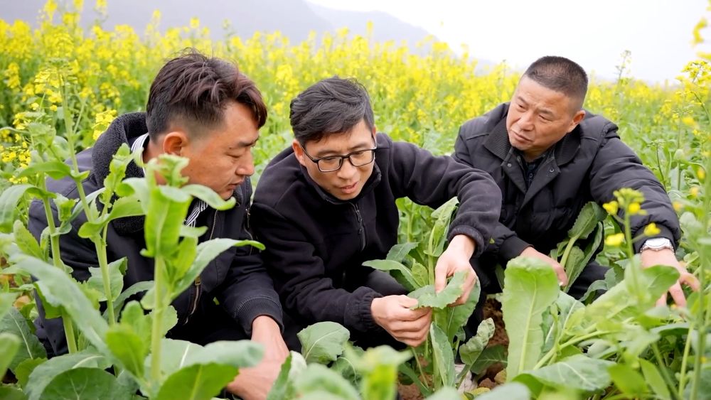 春日奋进正当时 多领域发力共促高质量发展