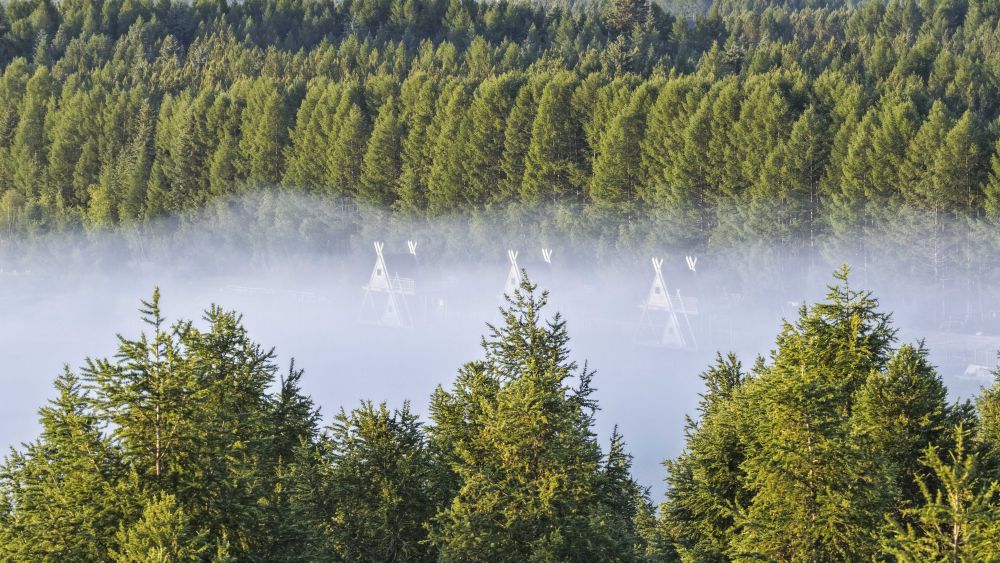 春已至！“植”绿山河