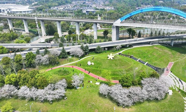 春已至！“植”绿山河