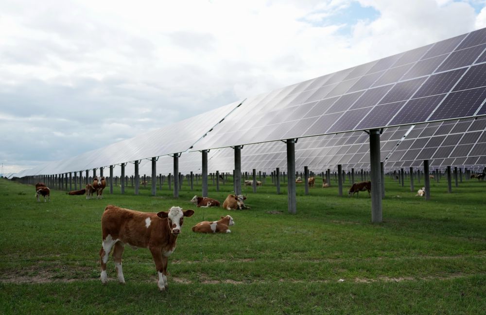 两会世界观察|生态环境法典彰显中国全球引领作用 两会世界观察|生态环境法典彰显中国全球引领作用