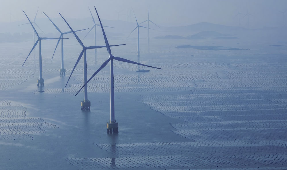 两会世界观察|生态环境法典彰显中国全球引领作用 两会世界观察|生态环境法典彰显中国全球引领作用