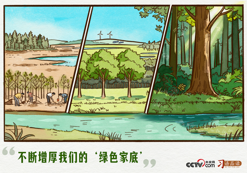 天天学习｜不断增厚我们的“绿色家底”