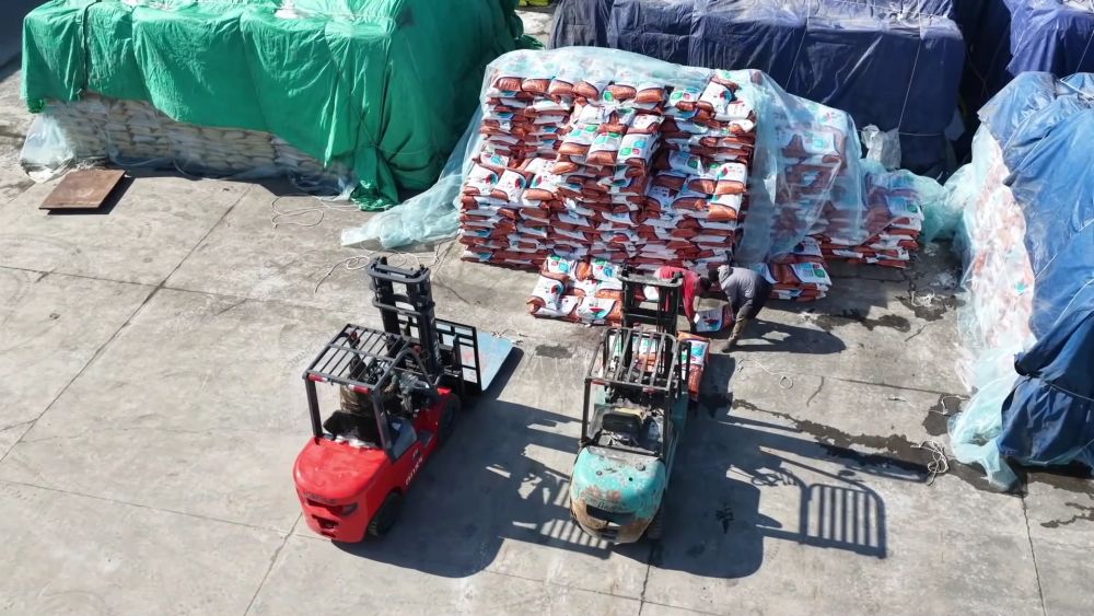 不负春光开好局 各地忙生产稳就业