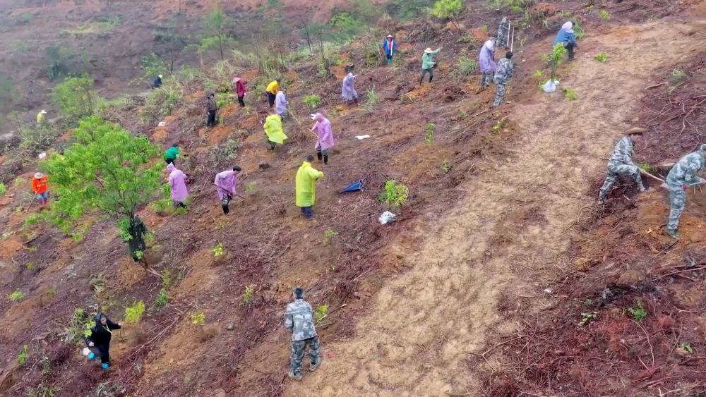 不负春光开好局 各地忙生产稳就业