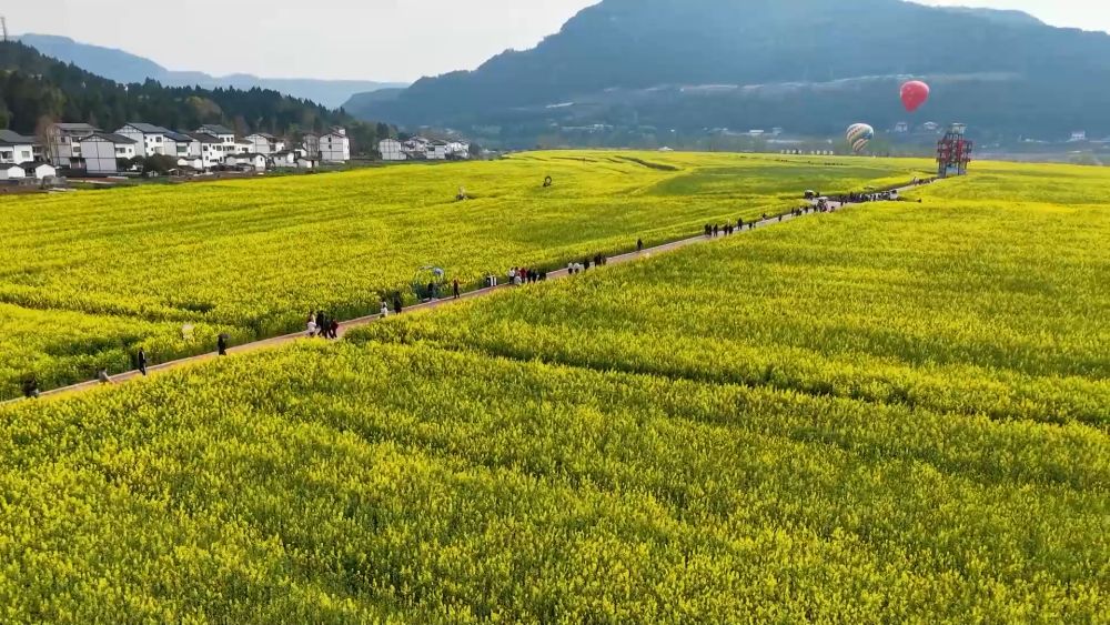 新华视点|春日盛景赋能“花经济” 文旅融合焕发新活力 新华视点|春日盛景赋能“花经济” 文旅融合焕发新活力