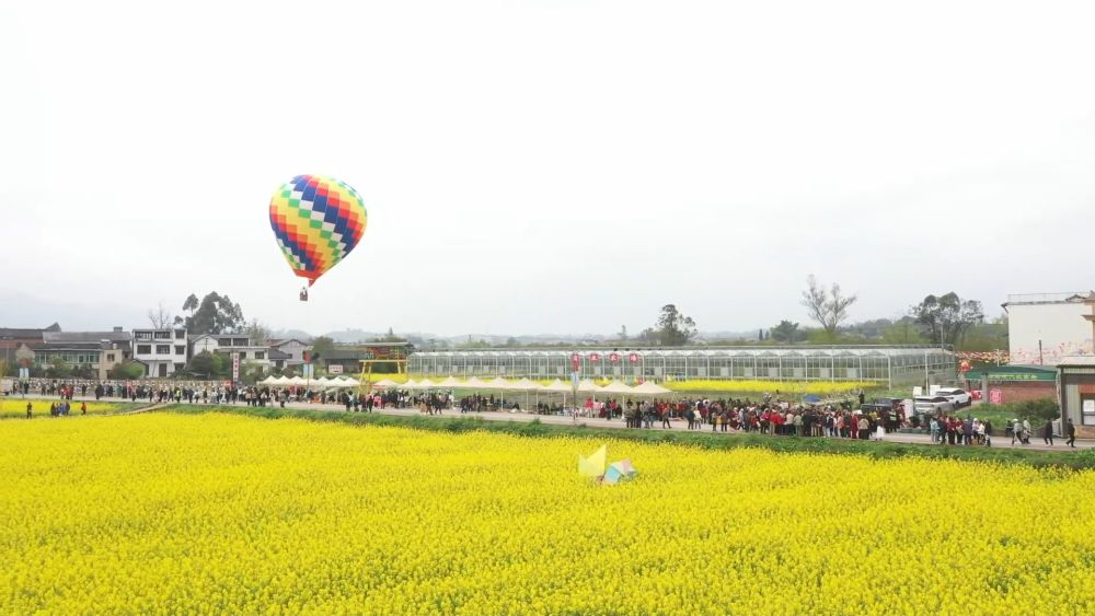 新华视点|春日盛景赋能“花经济” 文旅融合焕发新活力 新华视点|春日盛景赋能“花经济” 文旅融合焕发新活力