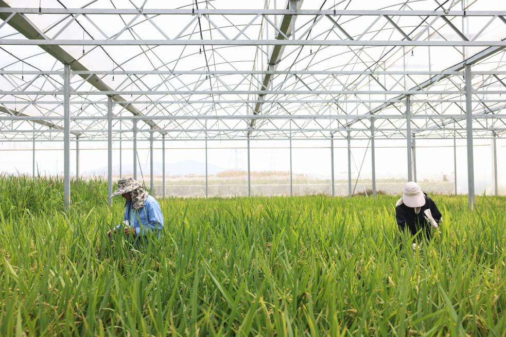 两会热词在基层丨韧性中国:练好内功 做强自身