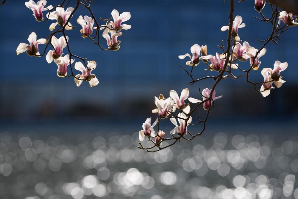 两会热词在基层丨韧性中国:练好内功 做强自身