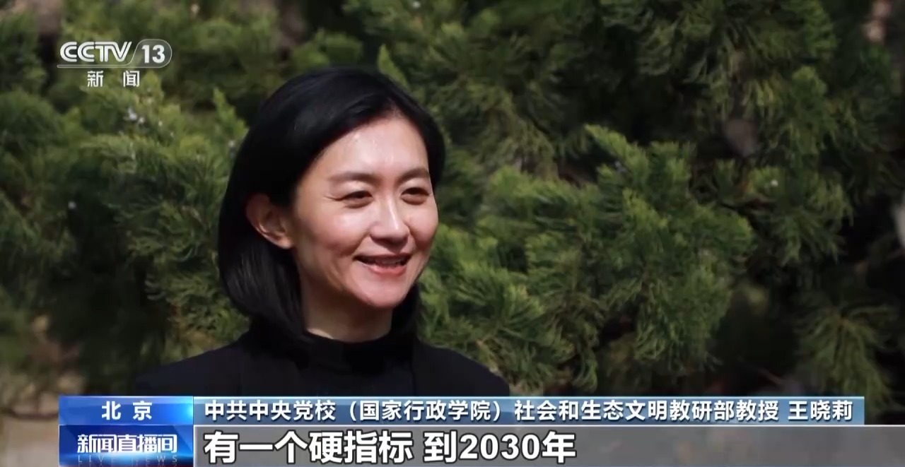 我国森林覆盖率新目标25.8% 解读数字背后的深意