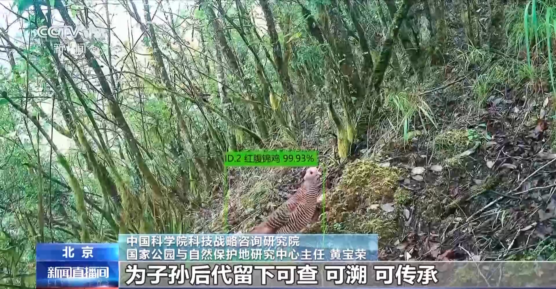 我国森林覆盖率新目标25.8% 解读数字背后的深意