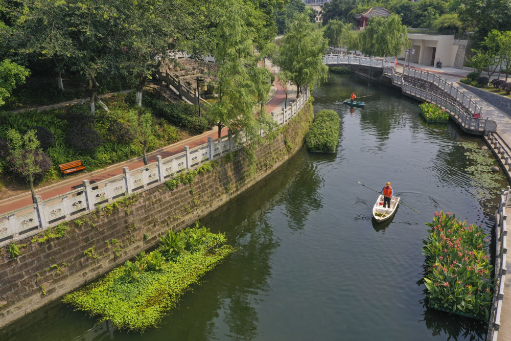 神州答卷｜山河焕新生机涌——长江经济带绿色发展的重庆实践