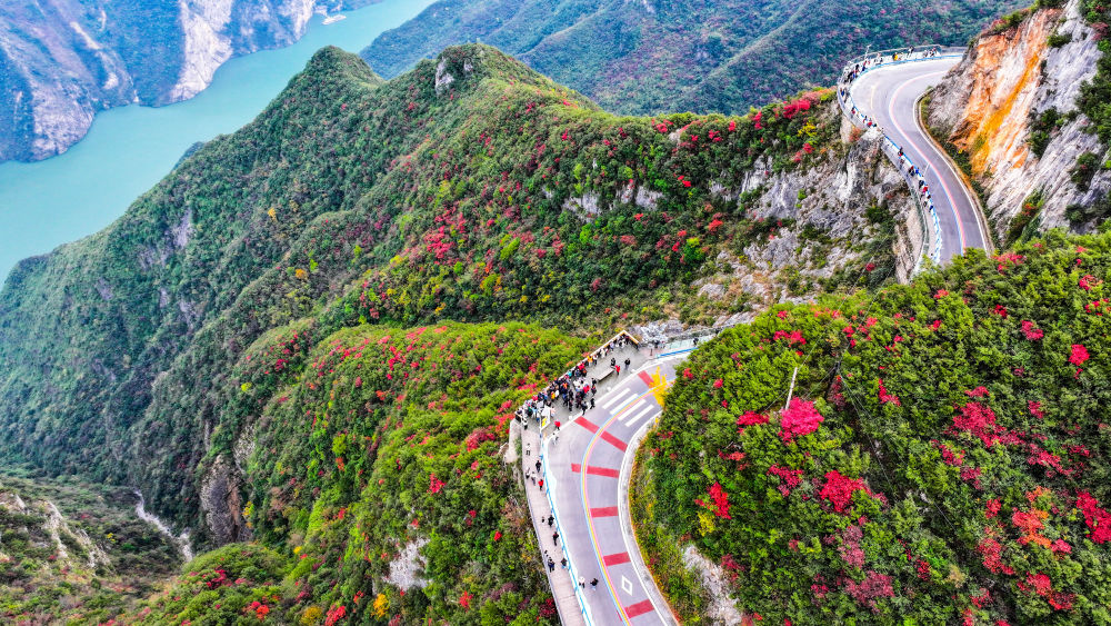 神州答卷｜山河焕新生机涌——长江经济带绿色发展的重庆实践
