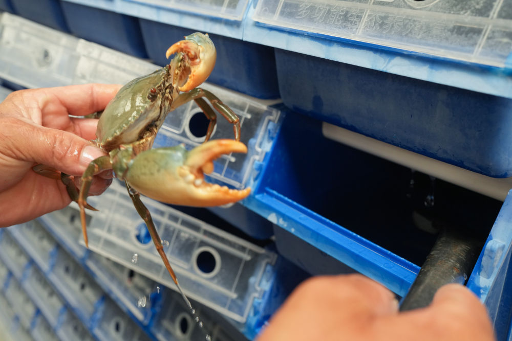 约占全球56%！中国渔业好“丰”景