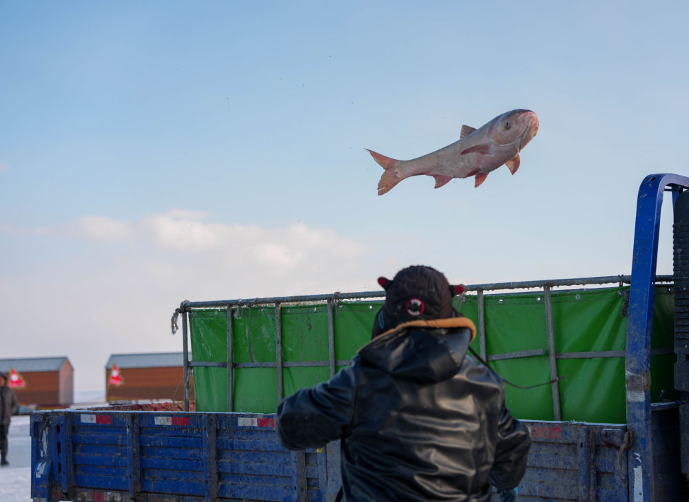 约占全球56%！中国渔业好“丰”景