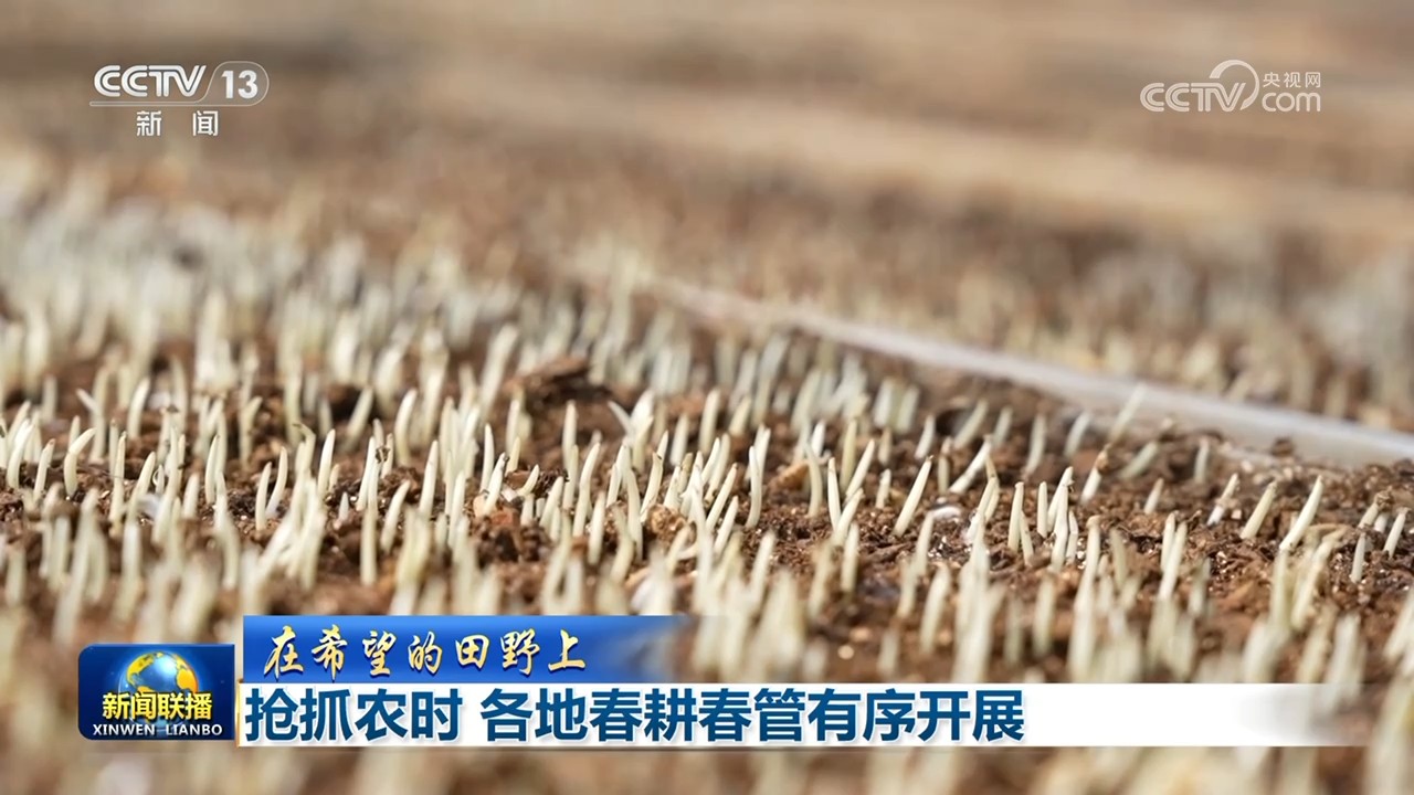 【在希望的田野上】抢抓农时 各地春耕春管有序开展