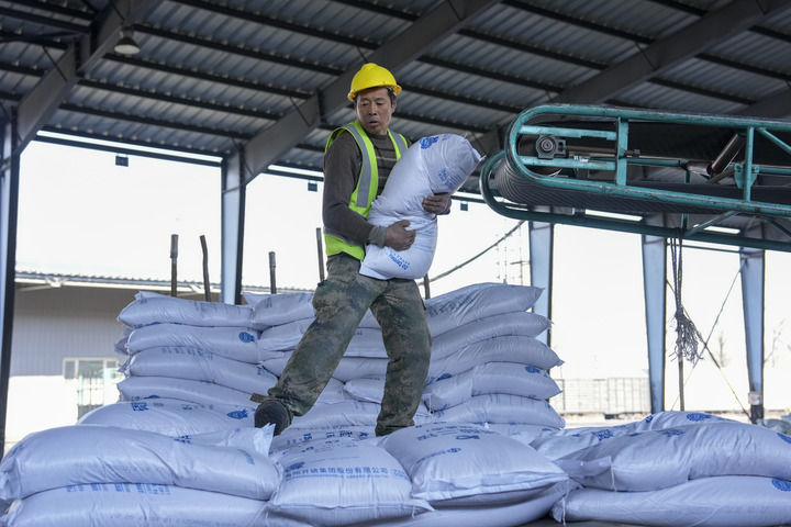 沃野染新绿 春耕绘丰景——从春耕一线看“十五五”开局农业生产新气象