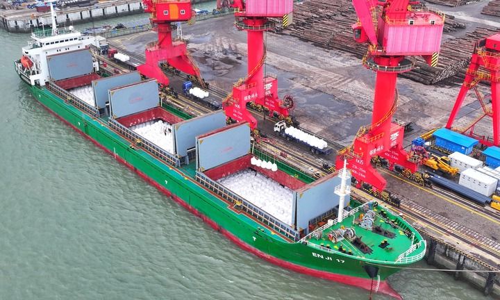 沃野染新绿 春耕绘丰景——从春耕一线看“十五五”开局农业生产新气象