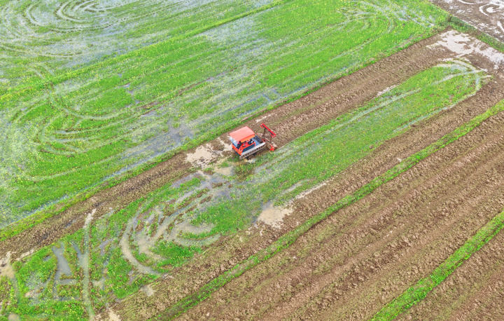 沃野染新绿 春耕绘丰景——从春耕一线看“十五五”开局农业生产新气象 沃野染新绿 春耕绘丰景——从春耕一线看“十五五”开局农业生产新气象