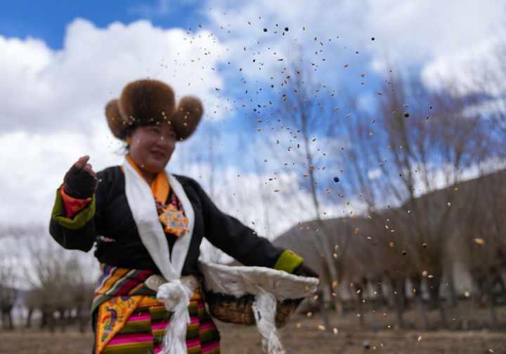 沃野染新绿 春耕绘丰景——从春耕一线看“十五五”开局农业生产新气象 沃野染新绿 春耕绘丰景——从春耕一线看“十五五”开局农业生产新气象