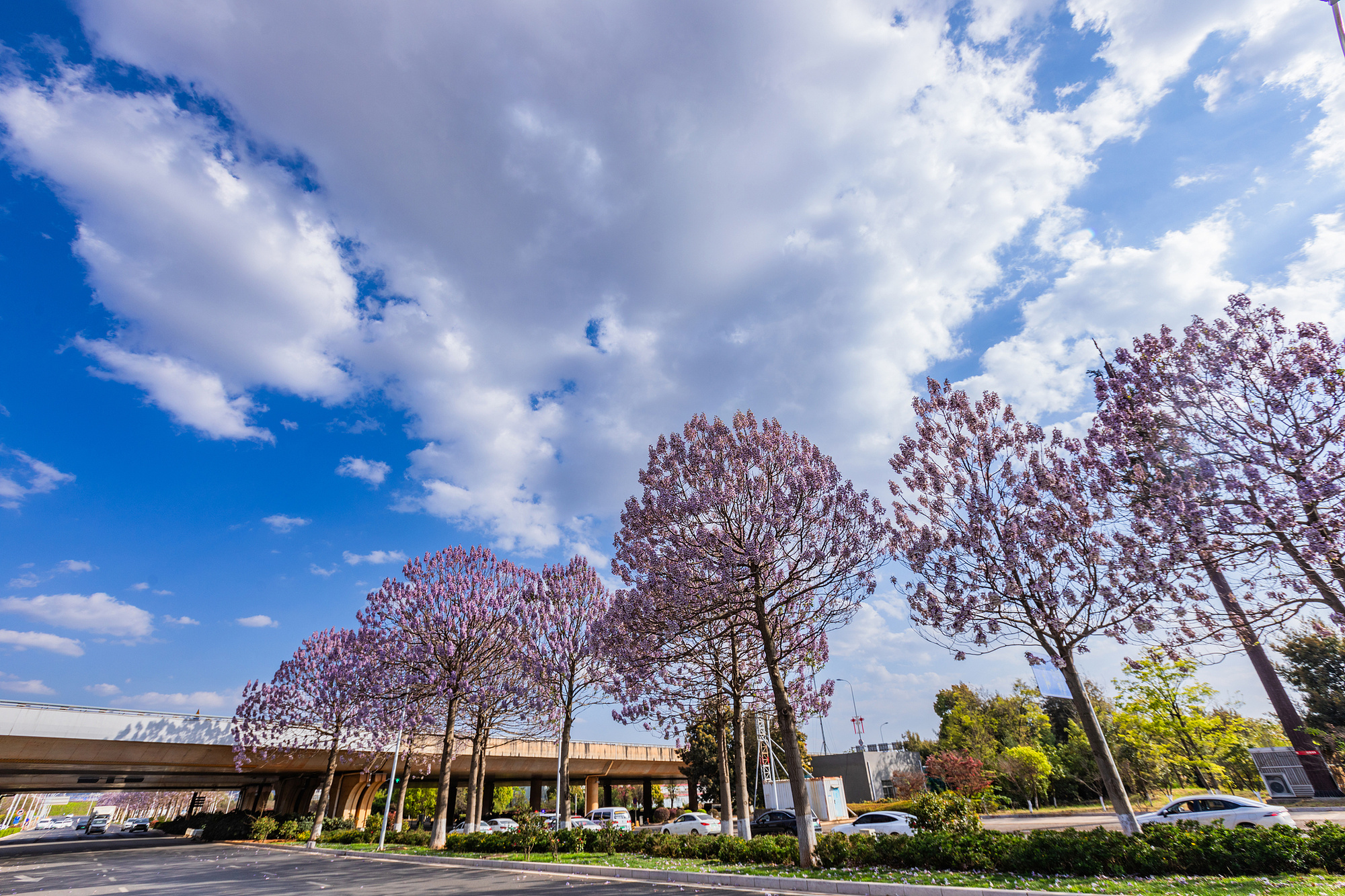 三个指标之变 藏着“十五五”规划里的民生温度