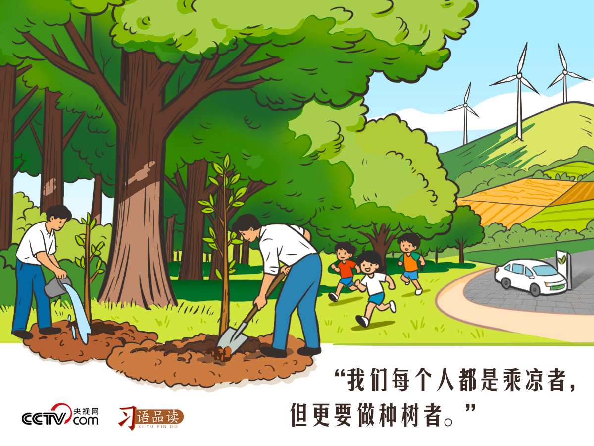 天天学习|我们每个人都是乘凉者,但更要做种树者