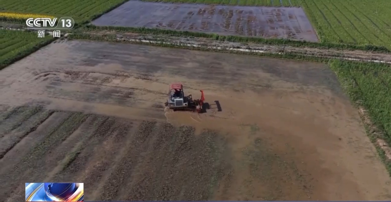 不负农时不负春 春耕生产按下“加速键”